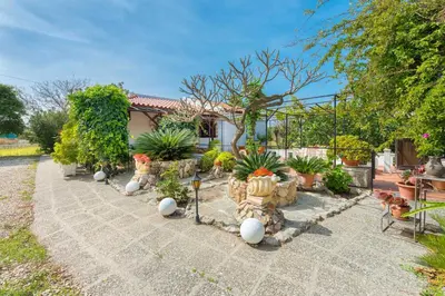 a garden with potted plants in front of a house at Villa Agia Paraskevi in Ialyssos