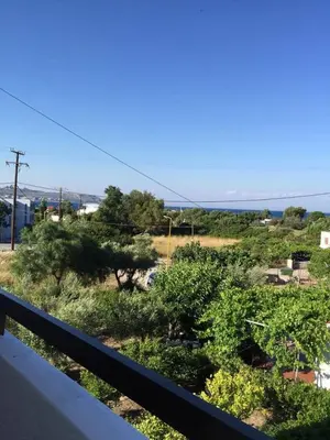 a view of a garden with trees and bushes at Voula Studios in Faliraki