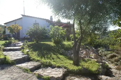 a house with a tree in the yard at O Ioannis in Kritinía