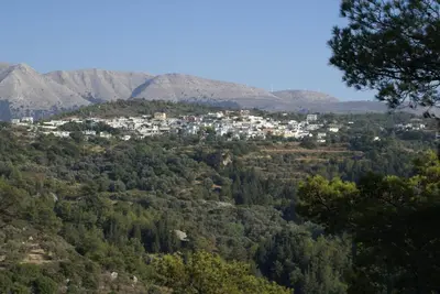a town on top of a hill with trees at O Ioannis in Kritinía