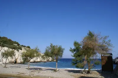 a group of trees on a beach near the water at O Ioannis in Kritinía