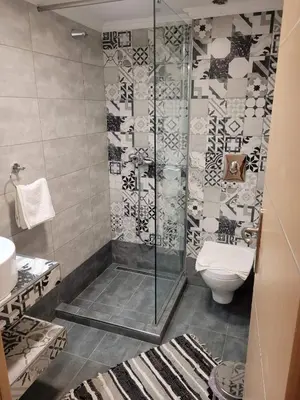 a bathroom with a shower and a toilet at Kleanthi and Kostas Studios in Symi