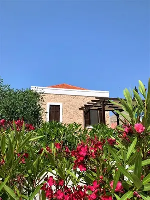 a bush of pink flowers in front of a building at Villa Miranda in Halki