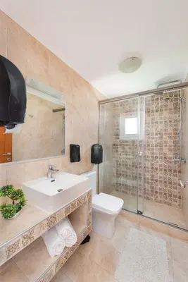 a bathroom with a sink and a toilet and a shower at Iliana Apartment in Afantou