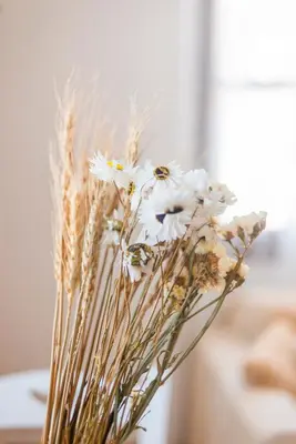 a vase filled with white flowers and wheat at Myrtia in Symi