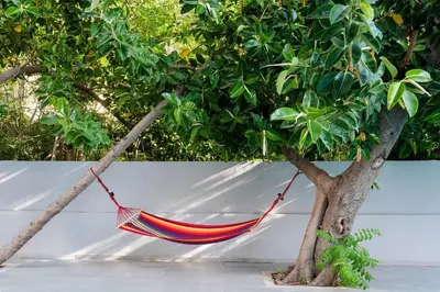 a hammock hanging from a tree next to a wall at Oktober Downtown Boutique Hotel in Rhodes Town
