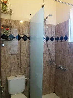 a bathroom with a shower and a toilet at COLONIAL FAMILY apartment #4 ground floor in Faliraki