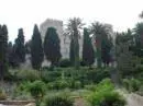 a group of trees and bushes in a park at Suite Grand Maitre Rodos in Rhodes Town