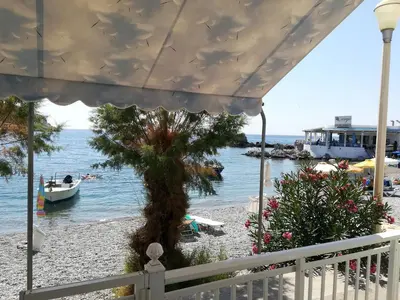 a tree on a beach with a boat in the water at Stamatia's House in Haraki