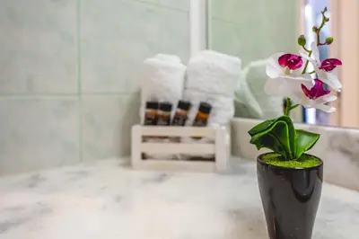 a black vase with flowers on a counter in a bathroom at Stegna Bay Apartment in Archangelos