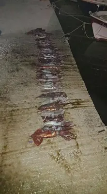 a puddle of water on the side of a river at Nikos Studios Meltemi Family Suite Penthouse in Archangelos