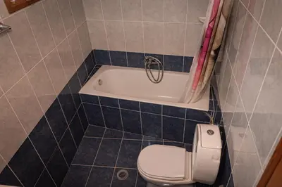 a bathroom with a toilet and a bath tub at Villa Stegna in Archangelos