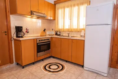 a kitchen with wooden cabinets and a white refrigerator at Villa Stegna in Archangelos