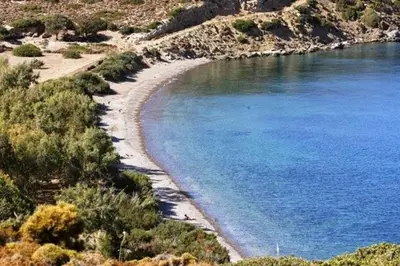 a view of a beach with blue water and trees at Tilos Island house in Megálon Choríon
