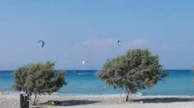 two trees on a beach with people parasailing in the water at M&B Luxury House in Theologos