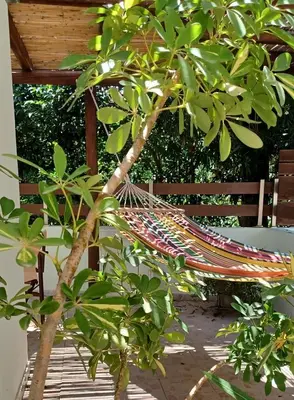 a hammock hanging from a tree in a garden at Green Apartments in Faliraki