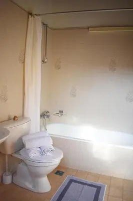 a bathroom with a toilet and a bath tub at Antifanous Apartments in Rhodes Town