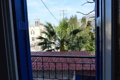 a view of a palm tree from a window at 