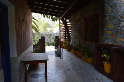 a hallway with a table and potted plants on the wall at 
