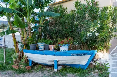 a blue and white boat with potted plants on it at Dimitras Luxus House in Archangelos