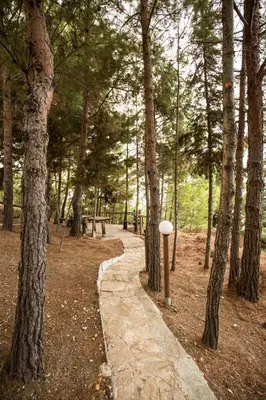 a path in a wooded area with trees at Kallithea Breeze Luxury Villa in Koskinou