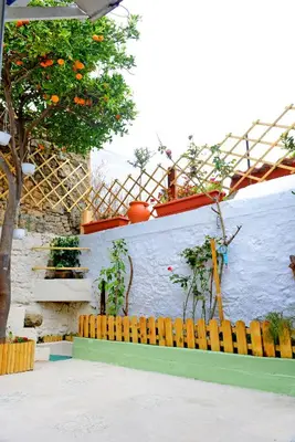 an orange tree on a wall with a wooden bench at Praxitelous 9 Old Town in Rhodes Town