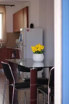 a kitchen with a table with a vase of yellow flowers on it at Zafeiris Apartments in Livadia