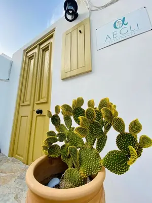 a plant in a pot in front of a door at Aegli Apartments in Symi