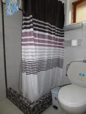 a bathroom with a shower curtain and a toilet at Halki Townhouse in Halki