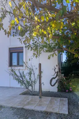 a tree in front of a white building at Villa Nastazia in Kiotari