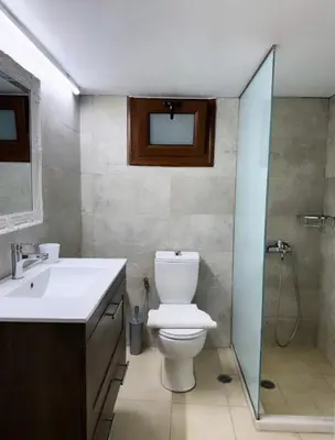 a bathroom with a toilet and a sink and a shower at Villa Vasilia in Líndos