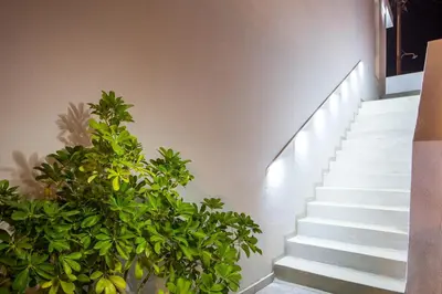 a staircase with a green plant next to it at Yianna's Flat in Faliraki