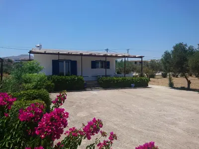 a house in the middle of a field with flowers at Afantou beach house in Kolimbia