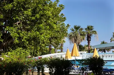 a pool with two yellow umbrellas and palm trees at Sunshine Rhodes in Ialyssos