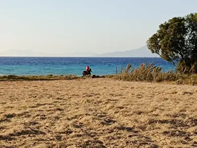a person riding a horse on the beach at Nautilus Beach House in Paradeísion