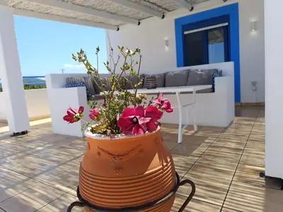 a large vase with flowers in it on a patio at Nautilus Beach House in Paradeísion