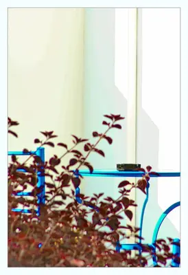 a plant sitting next to a glass table at Bella Vista Stegna in Archangelos