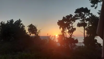 a sunset over the ocean with trees in the foreground at Afroditi Junior Suites in Archangelos