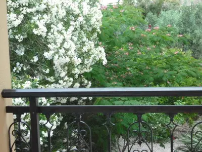 a balcony with a tree with white flowers at Summer Memories Aparthotel in Pefki Rhodes