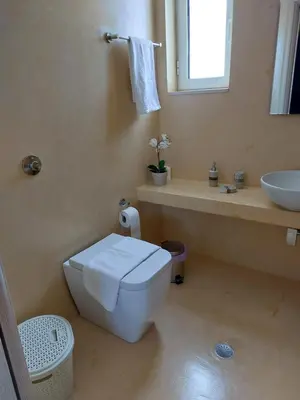 a bathroom with a white toilet and a sink at Villa Mangano in Afantou
