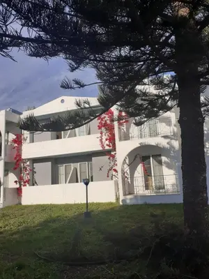 a white house with a tree in front of it at Summer Dream in Theologos