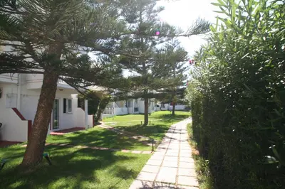 a street with trees and a sidewalk next to a house at Summer Dream in Theologos