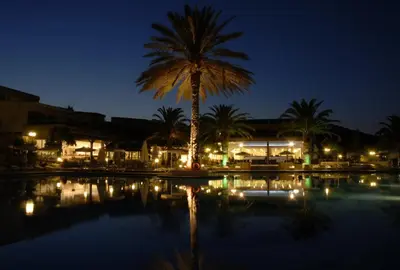 a palm tree sitting next to a pool at night at Cathrin Hotel in Faliraki