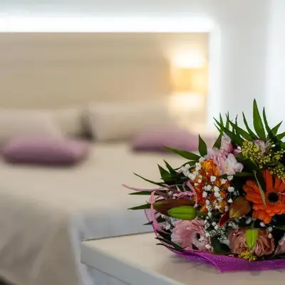 Terinikos Sunny Garden Hotel & Junior Suites