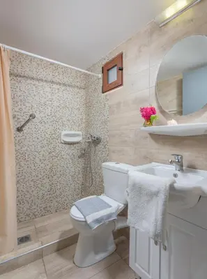 a bathroom with a toilet and a sink and a shower at Erato Apartments in Líndos