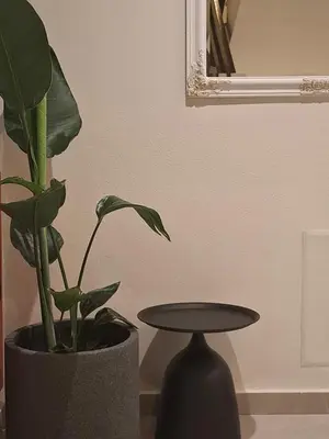 a plant in a black vase next to a table at Hotel Platon in Faliraki
