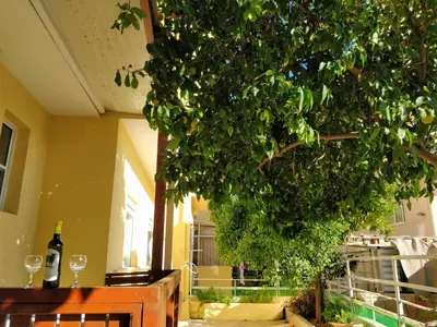 a tree in a room with a table and wine glasses at Amazing apartment 100 meters from the Old Town in Rhodes Town