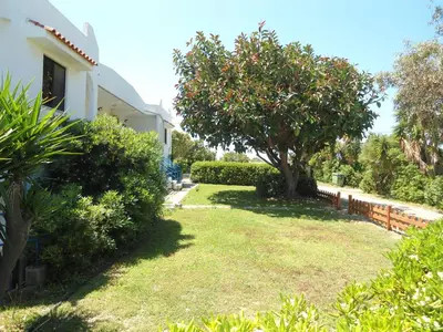 a yard with a tree and bushes next to a house at Evi Apartments And Studios in Theologos