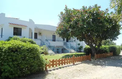 a house with an orange tree and a fence at Evi Apartments And Studios in Theologos
