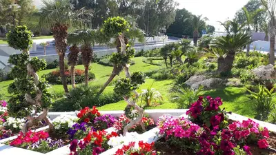 a view of a garden with flowers and palm trees at Akti Imperial Deluxe Resort & Spa Dolce by Wyndham in Ixia